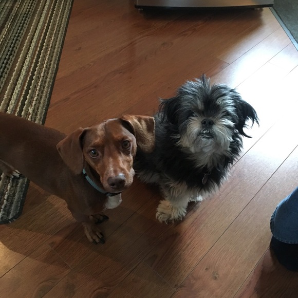 Meet your Posher, Connie - Picture 2 of 4